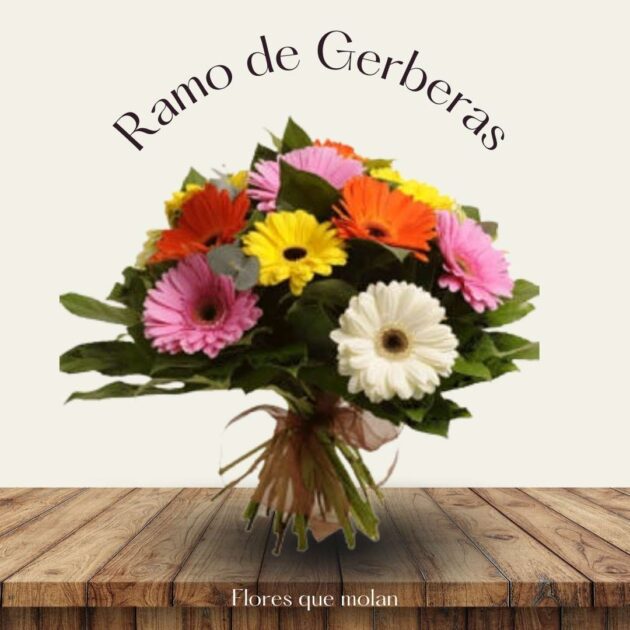 Ramo de Gerberas